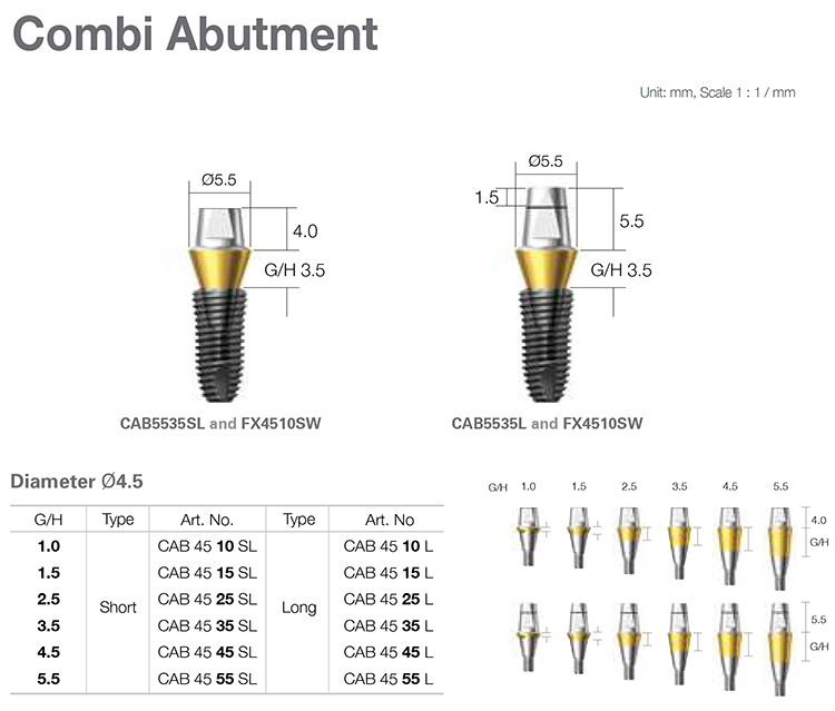 Combi Abutment